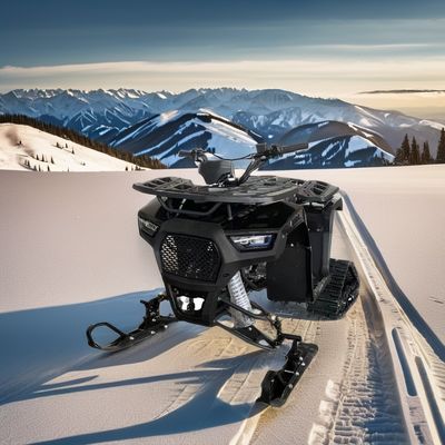 미니 스노우모바일 125cc 150cc 전기 시작 및 체인 변속기와 함께 스노우모바일