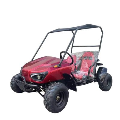 샤프트 변속기 1000W 전기 고 카트 2 좌석 60V 십대용 버그
