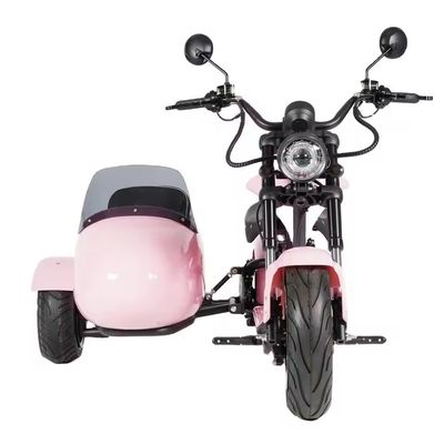 전기 사이드카 모터사이클 애완동물 수송기 1000W-3000W 60-80km 범위 41-50km/h 최대 속도