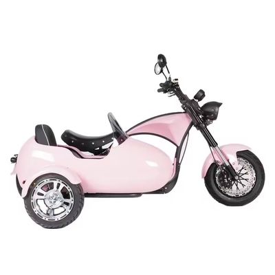 전기 사이드카 모터사이클 애완동물 수송기 1000W-3000W 60-80km 범위 41-50km/h 최대 속도