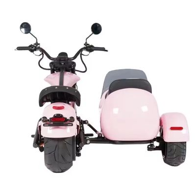전기 사이드카 모터사이클 애완동물 수송기 1000W-3000W 60-80km 범위 41-50km/h 최대 속도