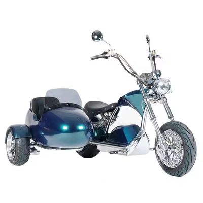 전기 사이드카 모터사이클 애완동물 수송기 1000W-3000W 60-80km 범위 41-50km/h 최대 속도