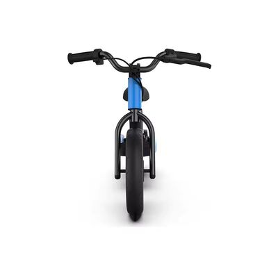 2024 AOTONG MOTOR 전기 2 바퀴 균형 스쿠터 디스크 브레이크와 16 &quot;바퀴 크기