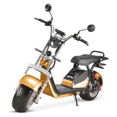 1500W/2000W 전기 시티코코는 제거 가능한 리?? 배터리와 간편한 유지보수