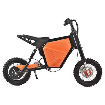 500W 모터 파워 키즈 전기 자전거