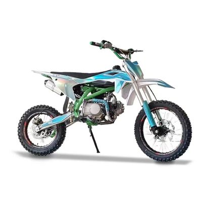 DISC 브레이크 125cc 대형 성인 가솔린 오프로드 오토바이 전기 시작 및 긴