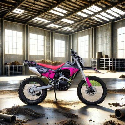 전기 시작 250cc 엔두로 디르트 바이크 맥스 속도 100km/h 오프로드 모험을 위해 이상적입니다