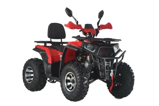 고전력 GY6 200CC/250CC 성인용 자동 쿼드 자전거 10인치 농장 ATV 오프로드