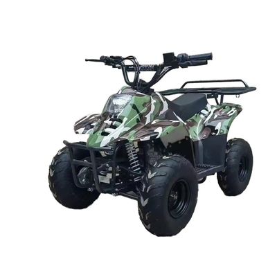 70CC/110CC 자동 4차원 ATV 십대 레이싱 쿼드 125CC 전지형 해변 버거