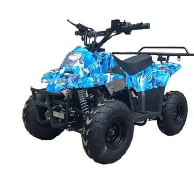 125cc 전지형 해변 버그 연료 가스 70CC/110CC 자동 쿼드 ATV 버그 십대 경주용