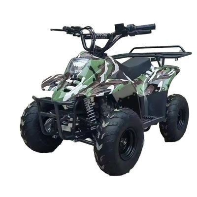 125cc 전지형 해변 버그 연료 가스 70CC/110CC 자동 쿼드 ATV 버그 십대 경주용