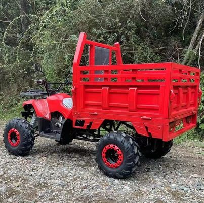 농장 ATV Aotong 125cc/150cc 트레일러와 화물 상자 2WD 4WD 오프로드 ATV 전압 12V