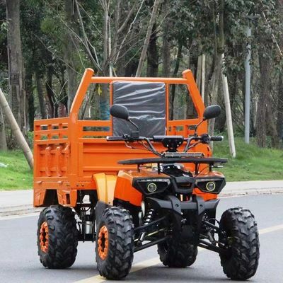 농장 ATV Aotong 125cc/150cc 트레일러와 화물 상자 2WD 4WD 오프로드 ATV 전압 12V