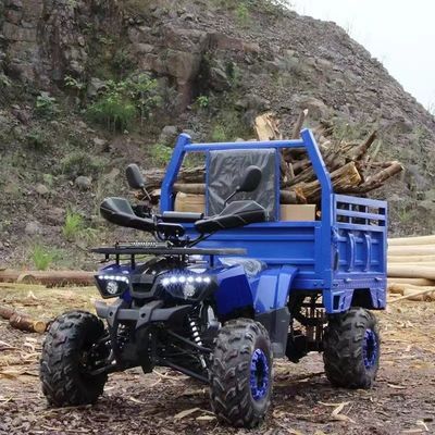 농장 ATV Aotong 125cc/150cc 트레일러와 화물 상자 2WD 4WD 오프로드 ATV 전압 12V