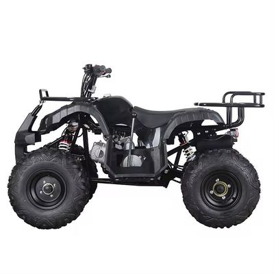 110cc 125cc ATV 자동 체인 드라이브 Aotong의 컴팩트 디자인 중국 제품