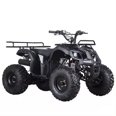110cc 125cc ATV 자동 체인 드라이브 Aotong의 컴팩트 디자인 중국 제품