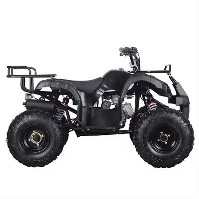 110cc 125cc ATV 자동 체인 드라이브 Aotong의 컴팩트 디자인 중국 제품