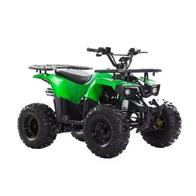 110cc 125cc 체인 드라이브 ATV CE 인증 최고 속도 50-75Km/h 및 재료