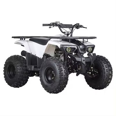 110cc 125cc 체인 드라이브 ATV CE 인증 최고 속도 50-75Km/h 및 재료