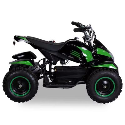 800W 1000W 오토바이크 36V 미니 해변 버기 쿼드리사이클 500W 전기 쿼드 ATV 어린이를위한