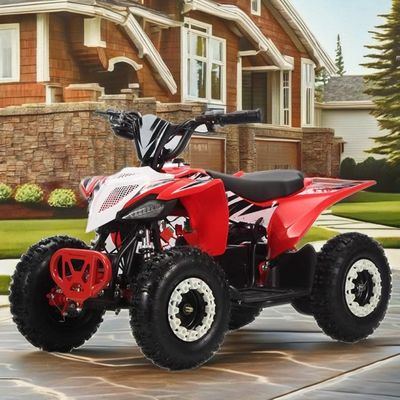 36V 키즈 쿼드 전기 1000w Atv 125cc 6인치 자동 쿼드 모터사이클 어린이용 2WD