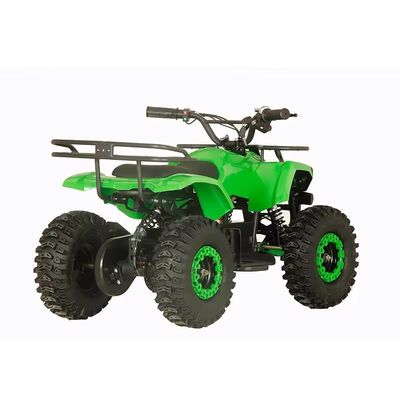스트리트 법률 1200W ATV 4 바퀴 쿼드 자전거 2WD와 30-50km 운전 마일리지