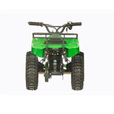 전기 쿼드 사이클 Aotong 1000w48V20Ah 2WD 운전 유형과 5-7h 충전 시간