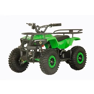 전기 쿼드 사이클 Aotong 1000w48V20Ah 2WD 운전 유형과 5-7h 충전 시간