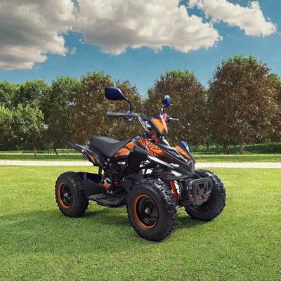 어린이 50cc 4륜자동차 사륜자동차 CE 인증과 미니 4륜자동차 49cc