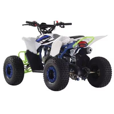 FOB CFR 125cc 가솔린 ATV 쿼드 자전거 오프로드 자전거 110cc 125cc 맞춤형 색상