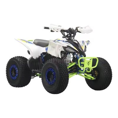 성인용 110cc 125cc 쿼드 ATV 디자인 및 장비가 없는 차차 잠금