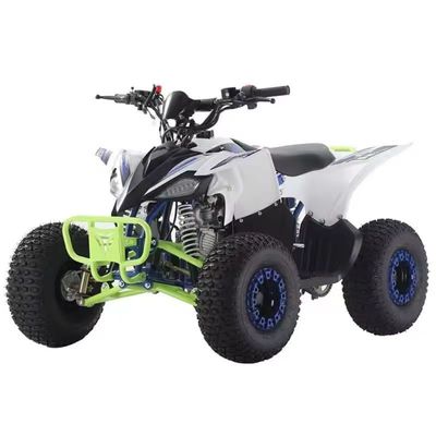 성인용 110cc 125cc 쿼드 ATV 디자인 및 장비가 없는 차차 잠금