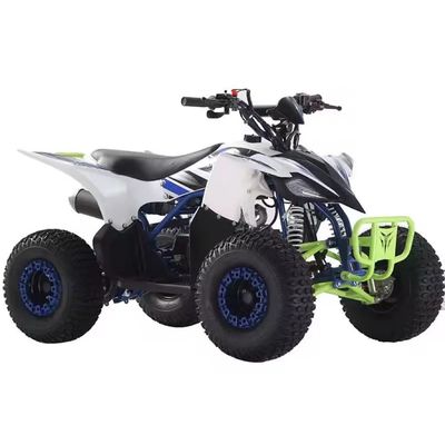 성인용 110cc 125cc 쿼드 ATV 디자인 및 장비가 없는 차차 잠금