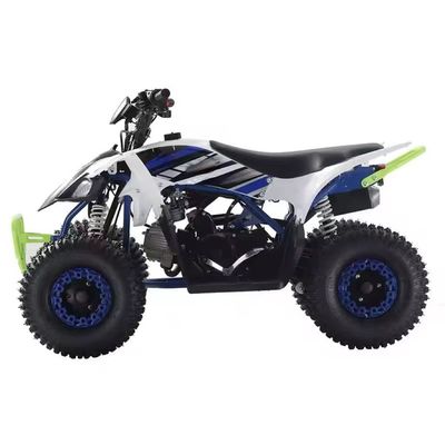 성인용 110cc 125cc 쿼드 ATV 디자인 및 장비가 없는 차차 잠금