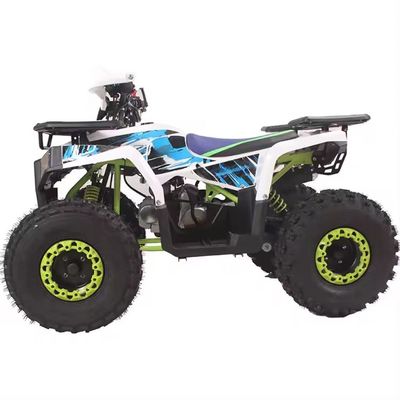 110cc 125cc 쿼드바이크 4륜자동 어드벤처 ATV 4x2 성인용 운전
