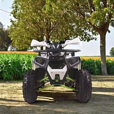 125cc 가스 가동 유틸리티 ATV 쿼드 바이크 최소 100-150mm의 클리어런스