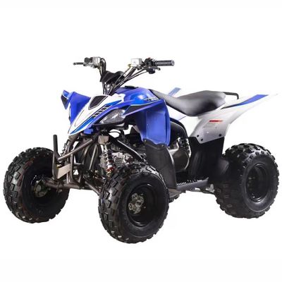 체인 드라이브 가스 가동 125cc 자동 CVT 및 연료 시스템과 함께 사륜구동 ATV