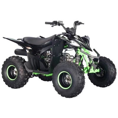 체인 드라이브 가스 가동 125cc 자동 CVT 및 연료 시스템과 함께 사륜구동 ATV