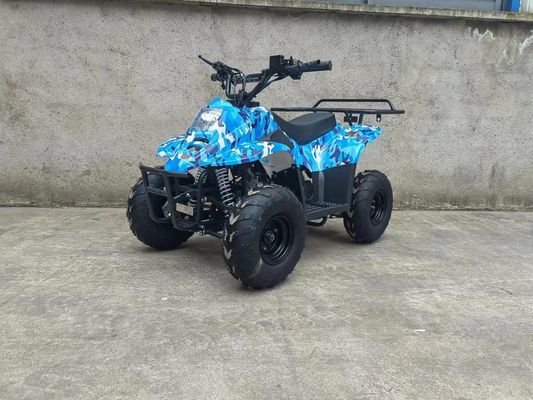 70CC/110CC 자동 쿼드 재미 장난감 ATV 1 실린더와 저렴한 십대용 버거