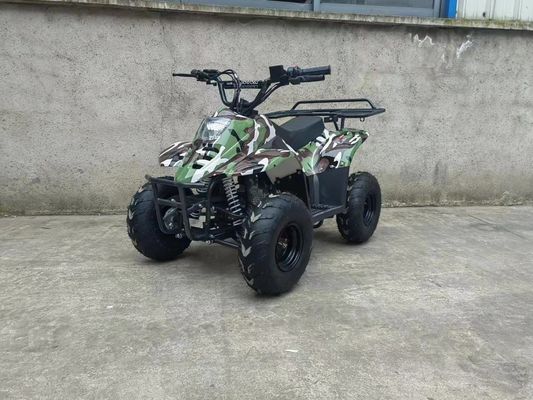 70CC/110CC 자동 쿼드 재미 장난감 ATV 1 실린더와 저렴한 십대용 버거