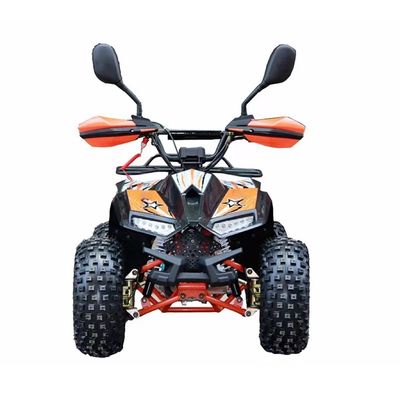 110CC 125CC 성인용 쿼드 ATV CE 승인 및 최소 크리저 100-150mm