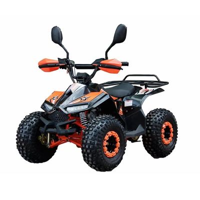 110CC 125CC 성인용 쿼드 ATV CE 승인 및 최소 크리저 100-150mm