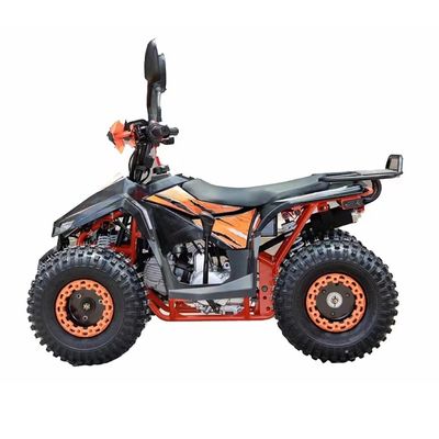 110CC 125CC 성인용 쿼드 ATV CE 승인 및 최소 크리저 100-150mm