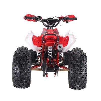 110cc 125cc 4타크 체인 드라이브 145/70-6 타이어 크기와 CE와 함께 4륜 사륜 자전거