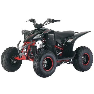 전면 디스크 후면 디스크 브레이크 시스템 125cc/110cc 어린이 ATV 버거의 안전을 보장합니다