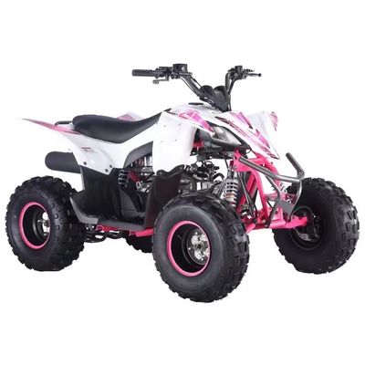 전면 디스크 후면 디스크 브레이크 시스템 125cc/110cc 어린이 ATV 버거의 안전을 보장합니다