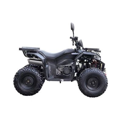 농장 ATV 쿼드바이크 200cc ATV 휠러 체인 드라이브 최대 속도 50-75Km/h 250cc 300cc