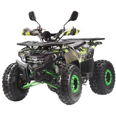 오프로드 농부 125cc 가스 전동 ATV 자동 변속기와 4 타크 엔진