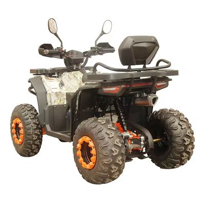 최대 속도 150cc 200cc 250cc 농장 ATV DISC 브레이크와 2 좌석 용량