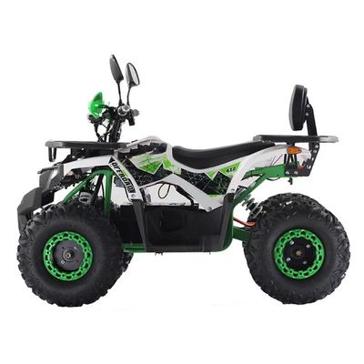 디스크 브레이크 1200W/1500W 60V 맞춤형 색상 지원 4륜 전기 ATV